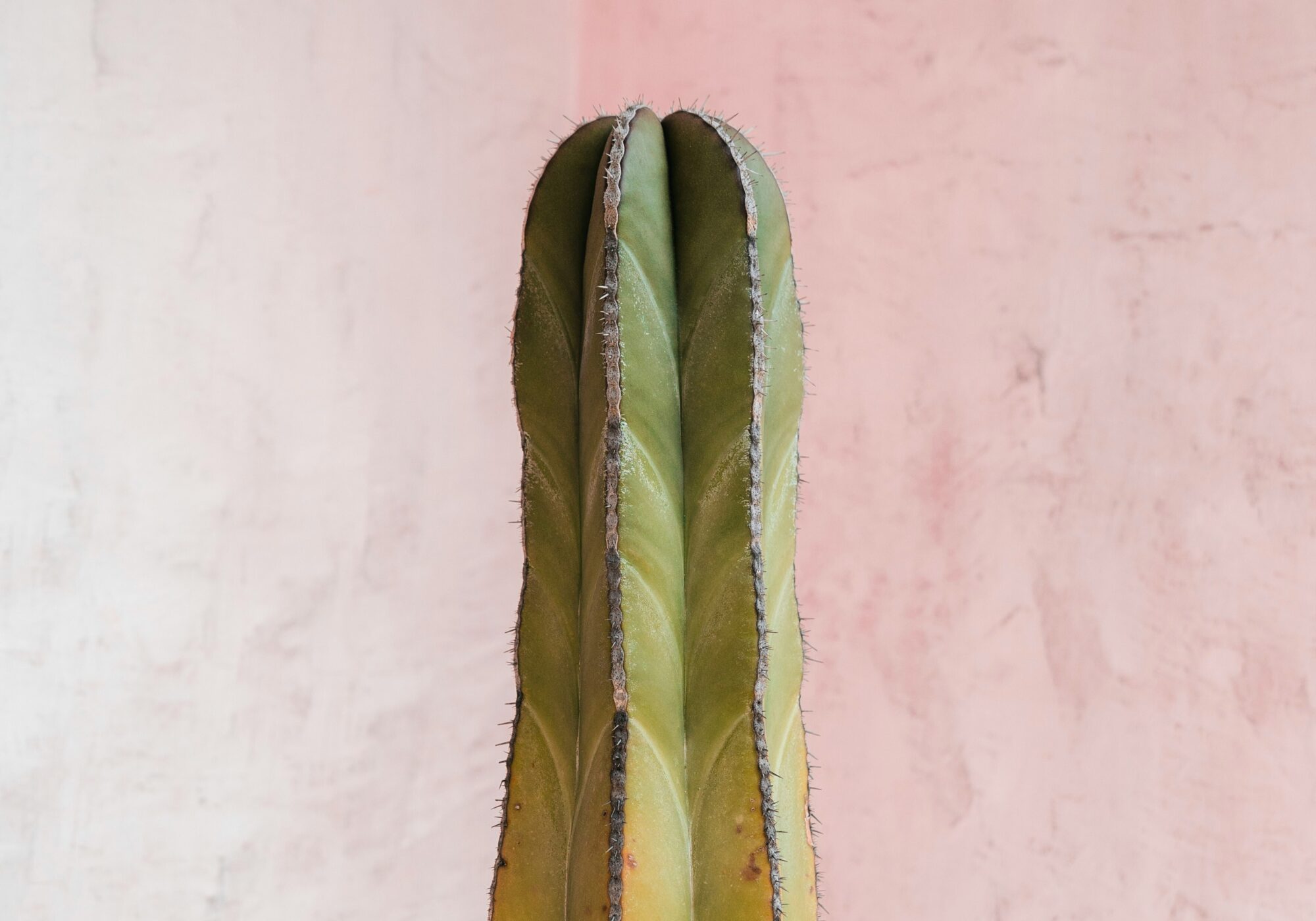 Sander traa j S0 U Bu Ux AZ4 unsplash