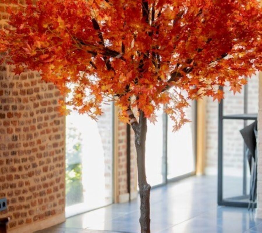 Autumn replic boom