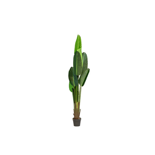 Replic Plante De Banane H200 X Dia 45Cm Petit