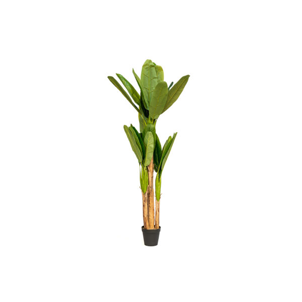 Replic Plante De Banane H250 X Dia 45Cm Grand